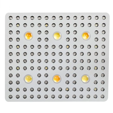 PH-B-L6,Optic Cree Cob Grow Light,600W Led Indoor Grow Lights